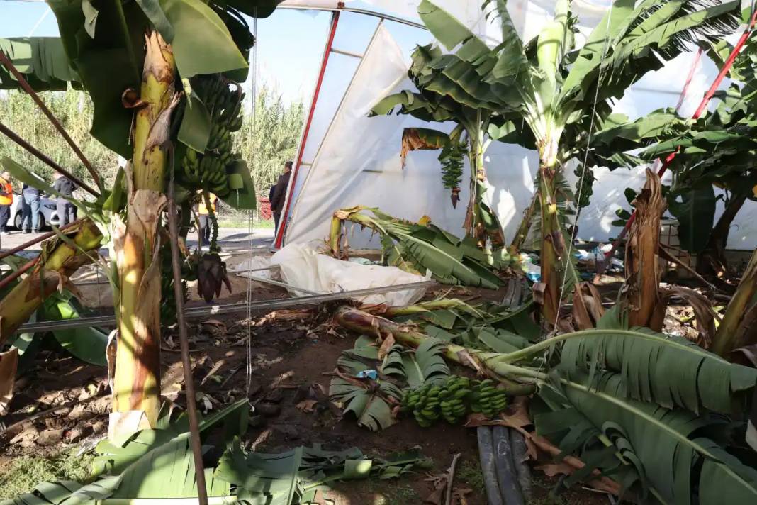 Antalya'da Hortumun Vurduğu Seralara Acil Destek 1